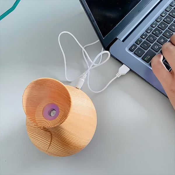 Dekorativer Holz-Diffuser