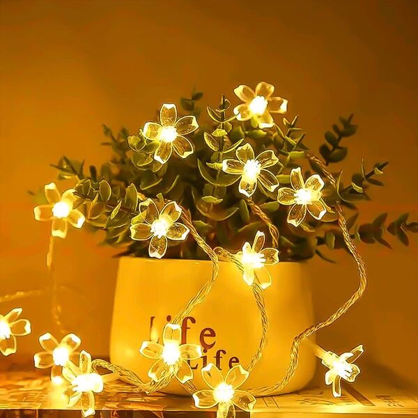 Blütenzauber Gänseblümchen-Lichterkette