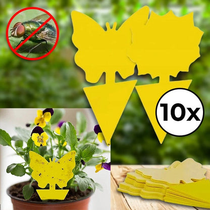 Klebefallen für Fliegen & Insekten