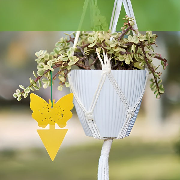 Klebefallen für Fliegen & Insekten