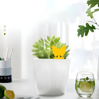 Klebefallen für Fliegen & Insekten