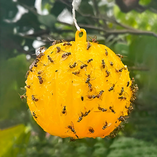 Hängende Fliegenfalle mit Klebeschicht (6 Stk.)