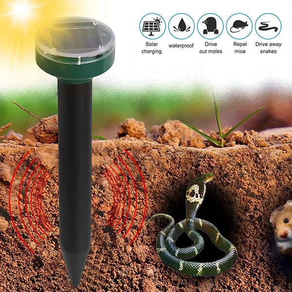 Solarer Insektenschutz-Profi
