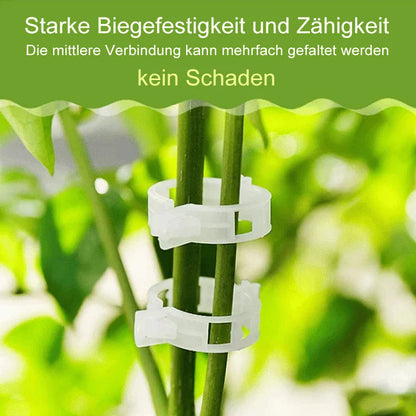 Robuste Pflanzenclips für sicheren Halt (100 Stk.)